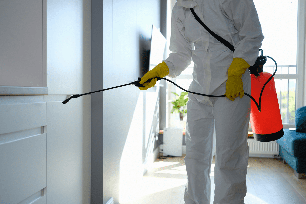 Pest Control Services: Providing Peace of Mind and Security