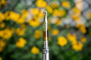 Delta 8 Distinction Navigating the Maze of Weed Pens for Optimal Enjoyment